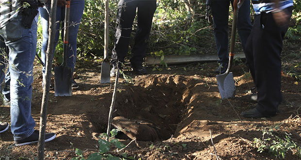 Sigue violencia en Acapulco: exhuman 5 cuerpos de fosa clandestina