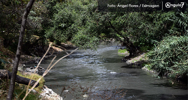 70% de los ríos mexicanos está contaminado gravemente