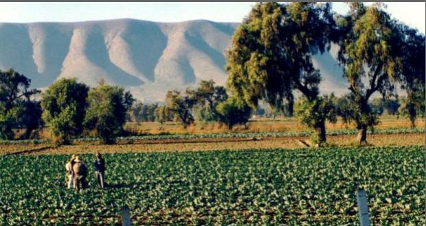 Autoridades agrícolas de Puebla, sin acciones para prevenir trata de personas