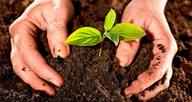 Semarnat urge cambiar modelo de agricultura que atenta contra vida
