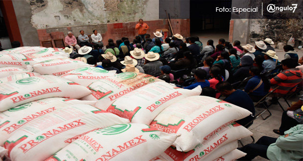 En Atlixco, 150 campesinos reciben 22 toneladas de fertilizante