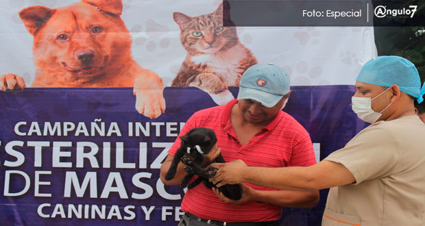 Ayuntamiento de Puebla realizó jornada de esterilización y vacunación