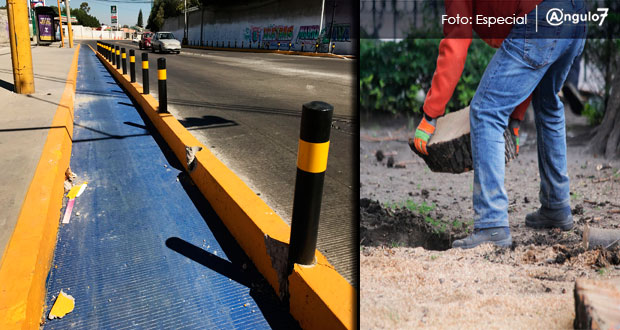 Licitan tercera parte de bulevar Carmelitas; va ciclovía y retiro de árboles