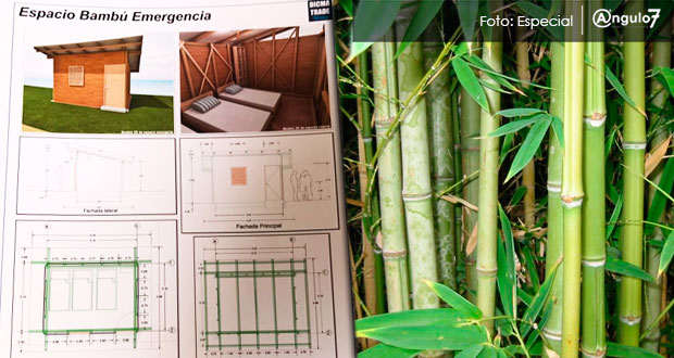 En Pilcaya, ONGs construirán 40 casas de bambú para damnificados