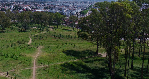 Gobierno estatal lanza segunda licitación para parque de Amalucan