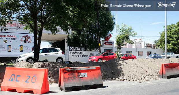 L3 de RUTA afectará a 14% de 2 mil 931 árboles que están en corredor: SIMT