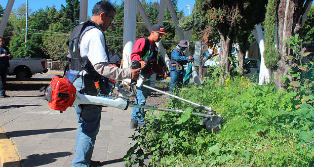 Ayuntamiento de Puebla da mantenimiento y poda áreas verdes