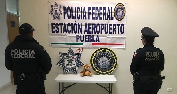 Policía federal halla oso con mariguana en aeropuerto de Puebla