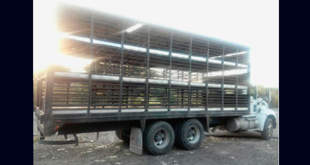 SSP recupera 2 tractocamiones y 2 cajas secas con reporte de robo