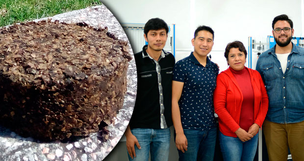 Alumnos de la BUAP crean biocombustible con residuos de café