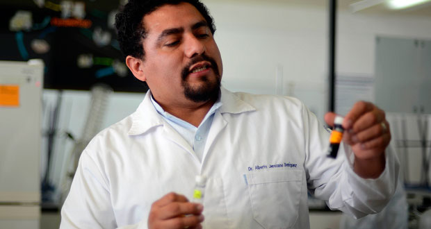 En BUAP, desarrollan medicina con “lengua de vaca” contra tifoidea