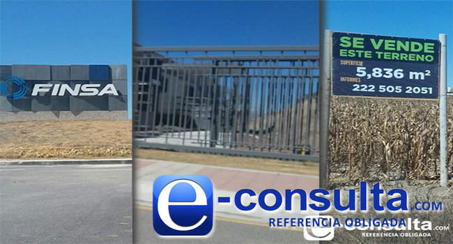 E consulta