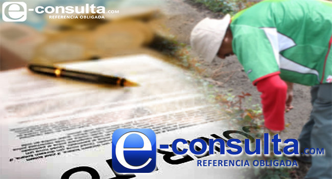 e consulta