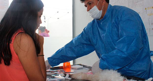 Ayuntamiento esteriliza mascotas en colonia San Diego Castillotla