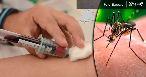 El dengue en Puebla: 84.7% más de casos y 3 muertes en un año, reporta SS