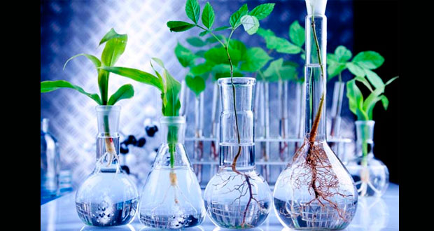Semarnat busca implementar protocolo de ONU sobre bioseguridad