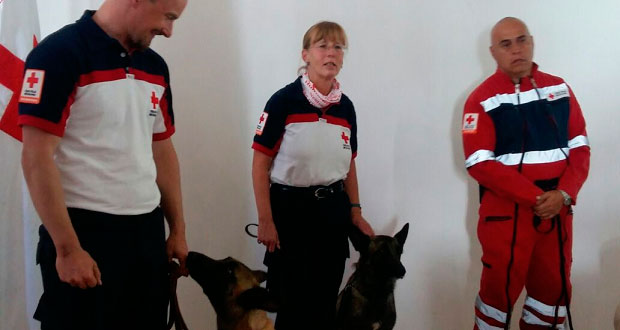 El binomio canino de Puebla que salvó vidas en la CDMX tras el 19-S