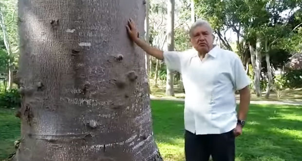 AMLO promete acabar guerra contra narco en 3 años