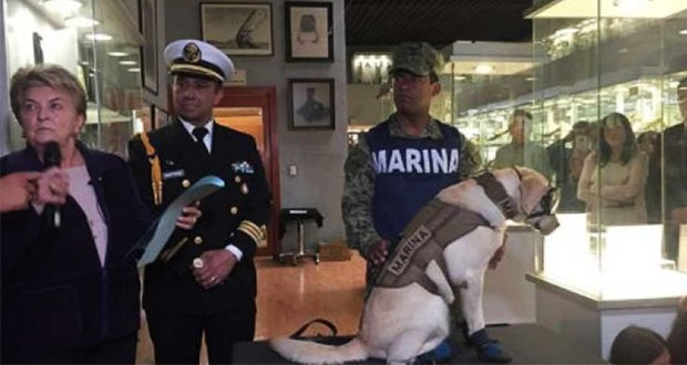 Frida dona sus botitas de rescate al Museo del Calzado