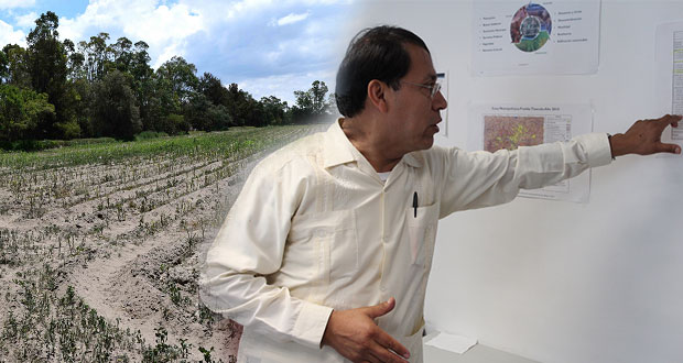 Experto pide cambiar gestión social por crecimiento poblacional