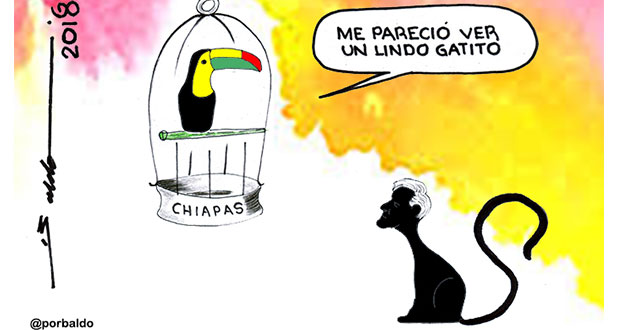 Caricatura: AMLO también quiere atrapar al tucán en Chiapas