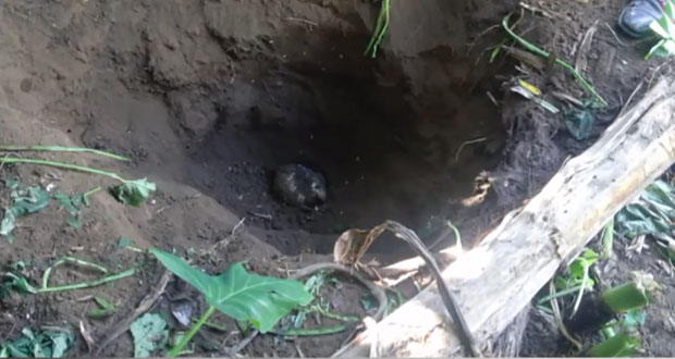 Van 33 cuerpos hallados en fosas de Nayarit