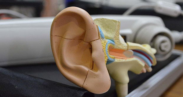 Atender infecciones respiratorias evita infecciones en el oído: IMSS