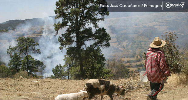 En 2017, Puebla cerró con 519 incendios forestales