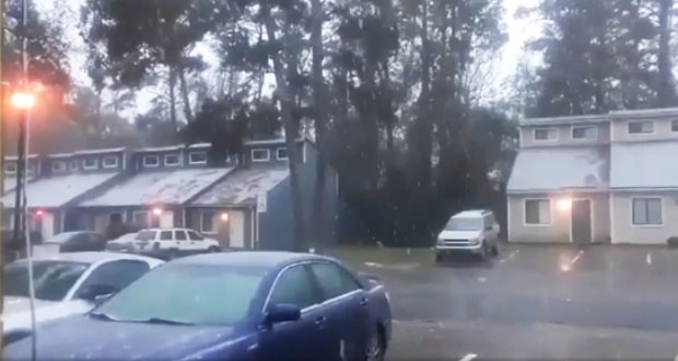 Ola de frío provoca primera nevada en Florida después de 30 años