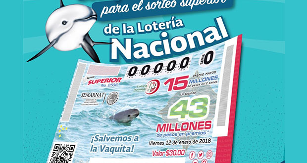 Vaquita marina aparece en billetes de lotería