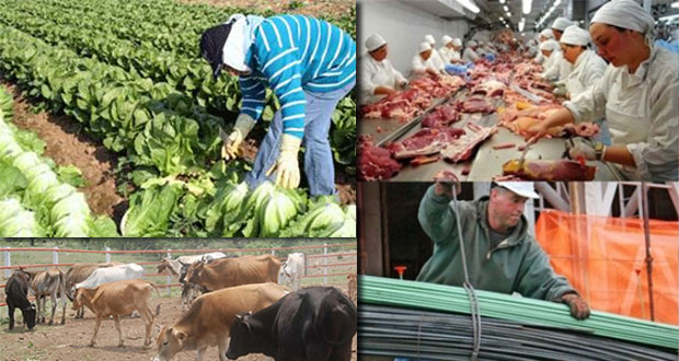 Estiman aumento anual del 2.1% en PIB nacional en 2017