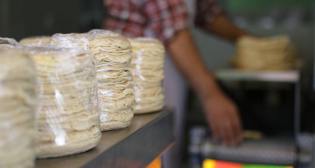 Kilo de tortilla subiría $1 y costaría $13 en San Pedro Cholula
