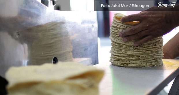 Kilo de tortilla subiría de $1.50 a $3 por alza en gas y electricidad: Unimtac