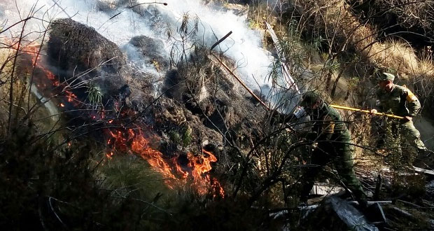 Se queman 30 hectáreas en faldas de La Malinche; no hay heridos.