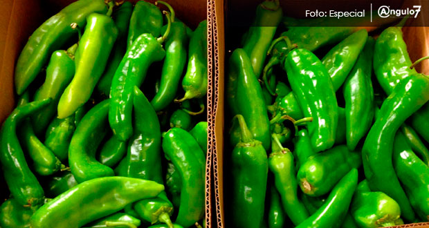 México exige denominación de origen para jalapeños y chipotles