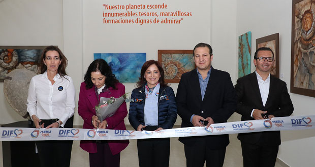 Exhibiciones por aniversario de Museo de la Evolución de Tehuacán