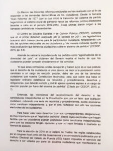 Amicus-Curiae-3