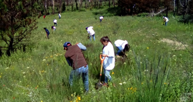 BUAP recibe reconocimiento por reforestación de Monte Tláloc