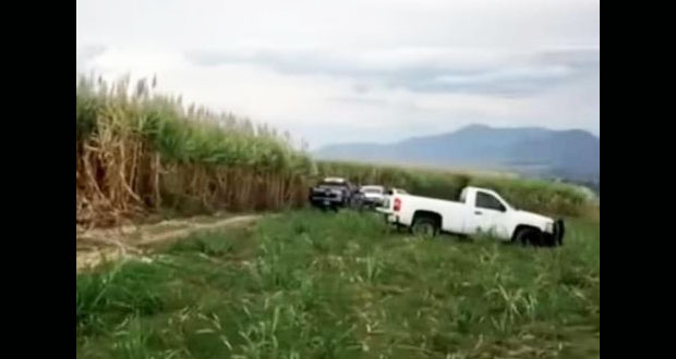 Descubren nueva fosa clandestina con 8 cadáveres en Nayarit
