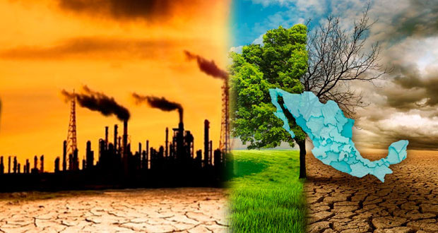Ley de cambio climático es conocida por 28% de empresarios