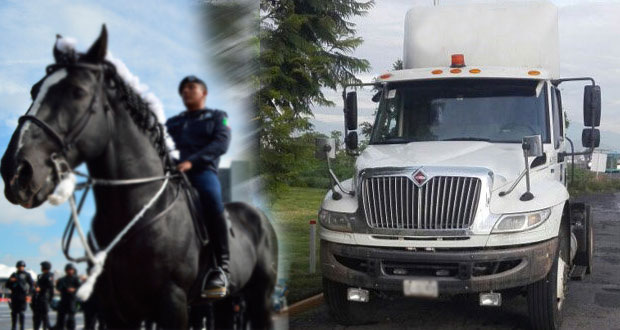Comandate de policía montada de Cholula muere arrollado por camión