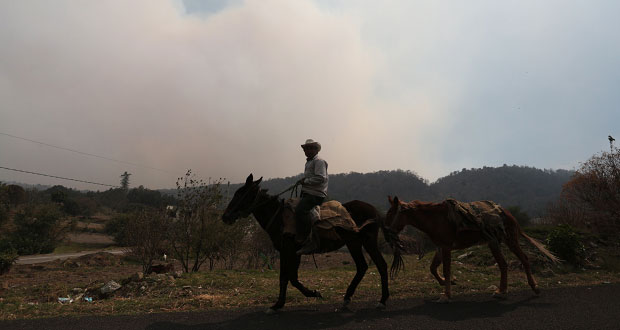 Van 41 incendios forestales; San Nicolás de los Ranchos con más casos