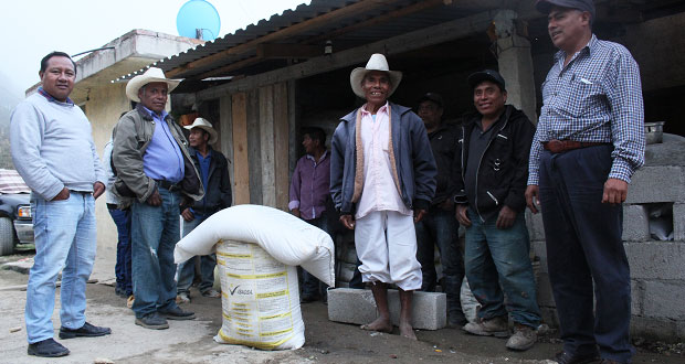 Entregan 250 toneladas de fertilizante a campesinos de Coyomeapan