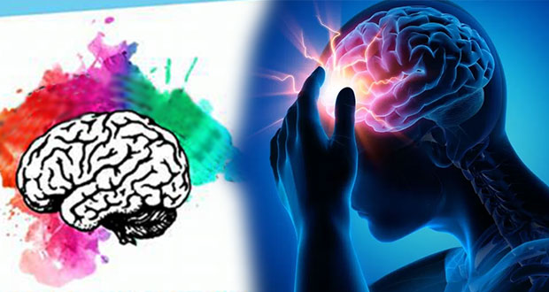 En BUAP, foro aborda enfermedades y funciones del cerebro