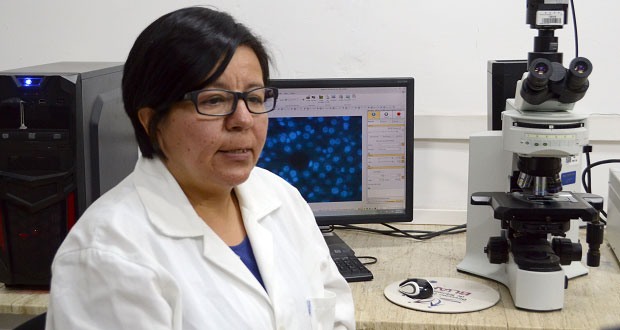 Científica de la BUAP investiga red neuronal de ovarios