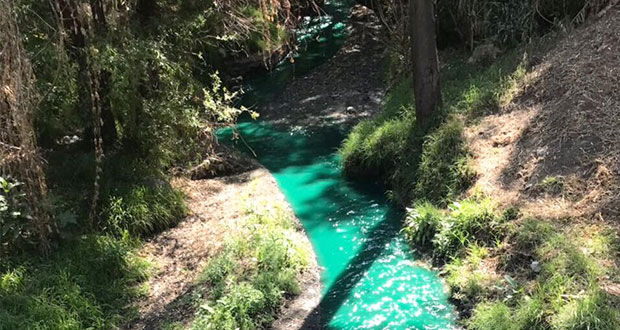 Denuncian a empresas de Texmelucan y El Verde por contaminar río