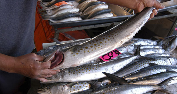 Recomendaciones para evitar enfermarte con pescados y mariscos