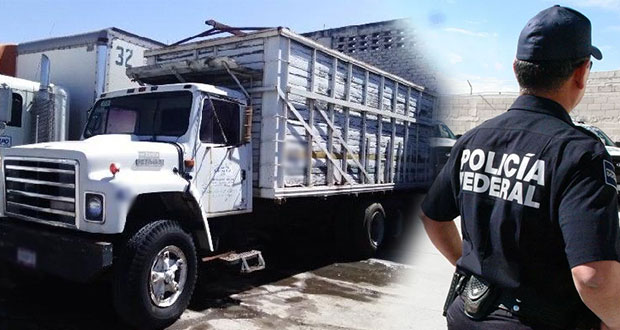 Aseguran camión robado en bodega detrás del mercado Hidalgo
