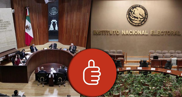 Tepjf ordena a INE continuar investigación de sitio AMLOvecoin