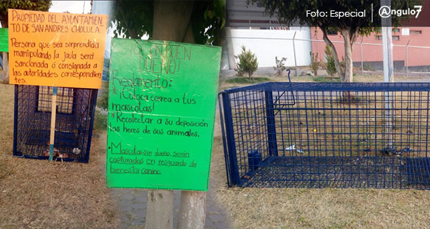 En la colonia Concepción La Cruz, vecinos manifestaron su enojo contra el ayuntamiento de San Andrés Cholula, ya que colocó trampas para perros callejeros. Foto: Especial